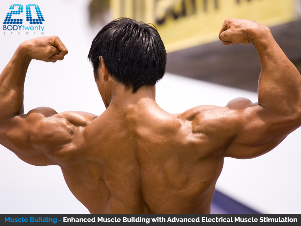 Muscle building with advanced electrical muscle stimulation